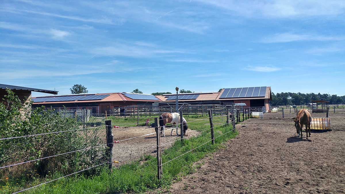 Aussenplatz Waaken Hoff Reitanlage Wedemark Hannover